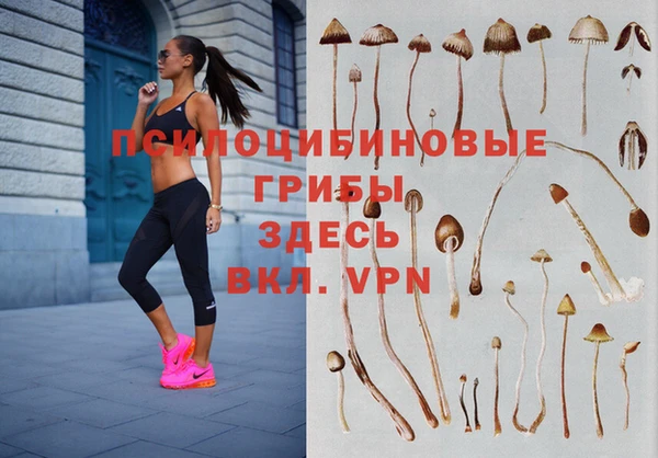 винт Балахна